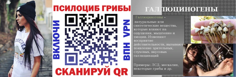 Псилоцибиновые грибы Cubensis  Москва 